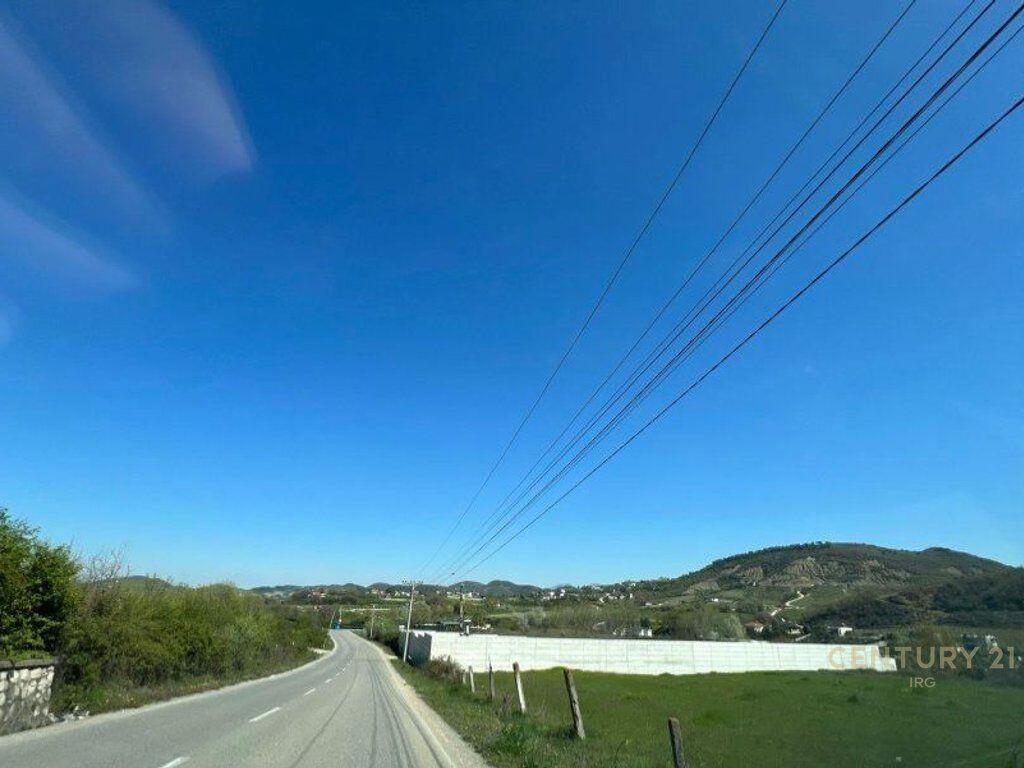 Shitet toke buze rruge, Vishaj