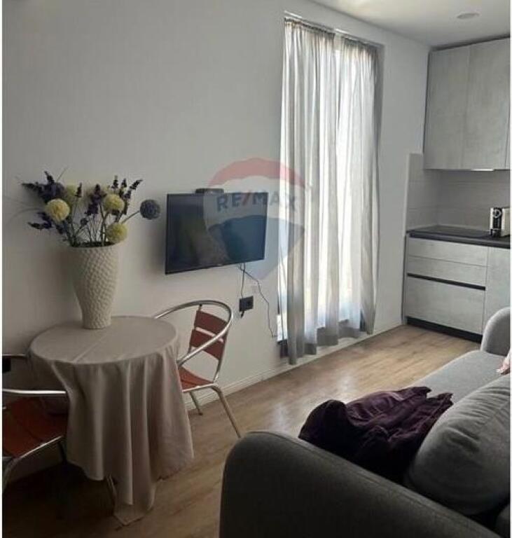 Apartament Per Qira Ish Tregu Elektrik, Tirane