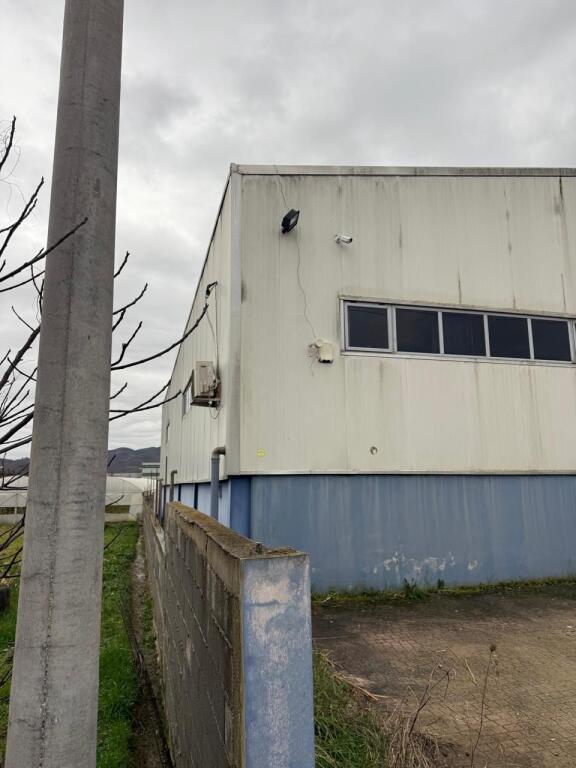 Warehouse for rent in Kashar!