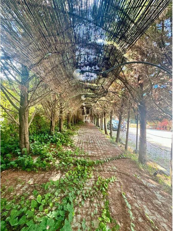 Hotel Bar Restaurant for rent in Peze