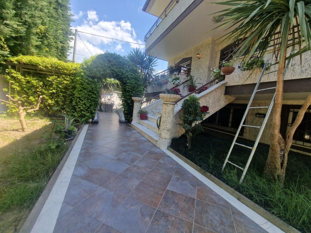 JEPET VILE ME QERA SELITE