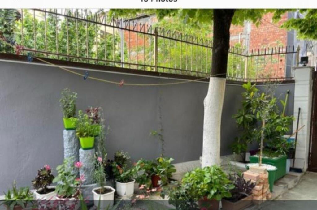 Shitet  1 vile  ne Kinostudio  