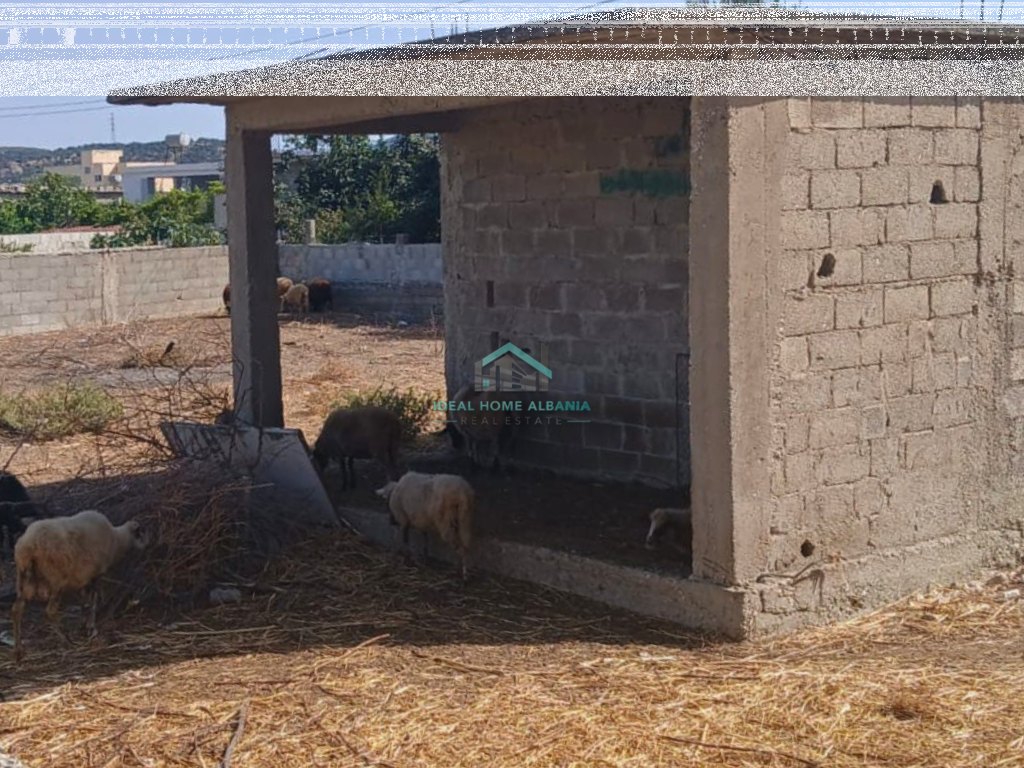 Truall në shitje – Pranë Nartës (rruga për Zvërnec)