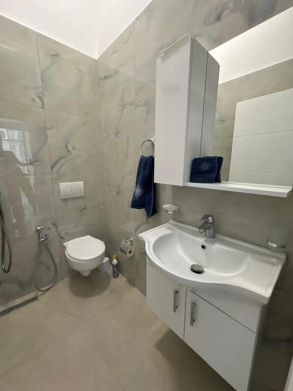 Apartment 1+1 for rent Fresk