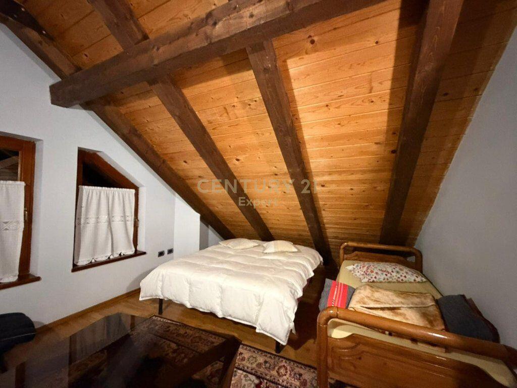 Vile me qira ne zonen e Kopshtit Botanik