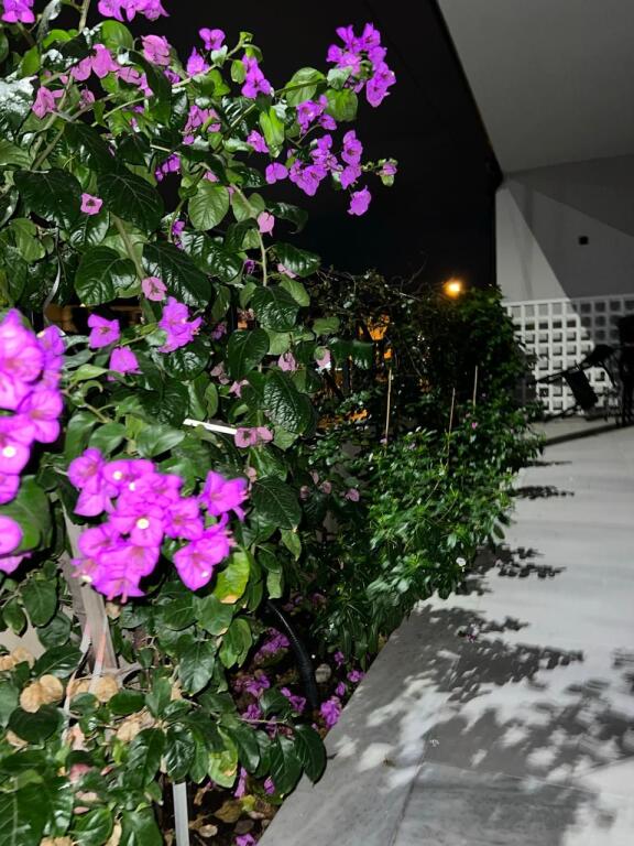 Apartament per qera - Selite