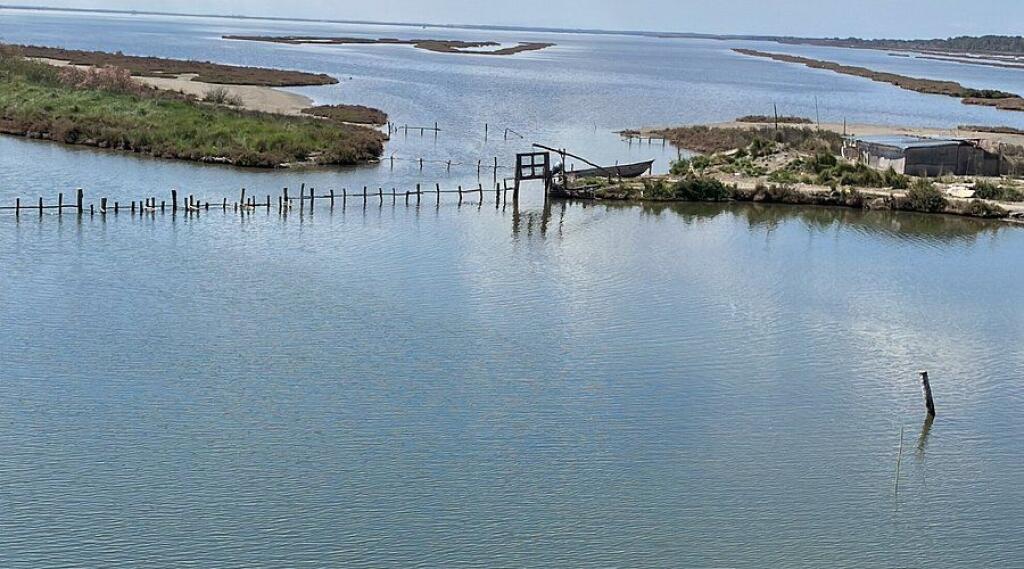 🏢 LOCALE IN VENDITA A DIVJAKË – INVESTIMENTO CONSOLIDATO &amp; PRONTO PER L'USO