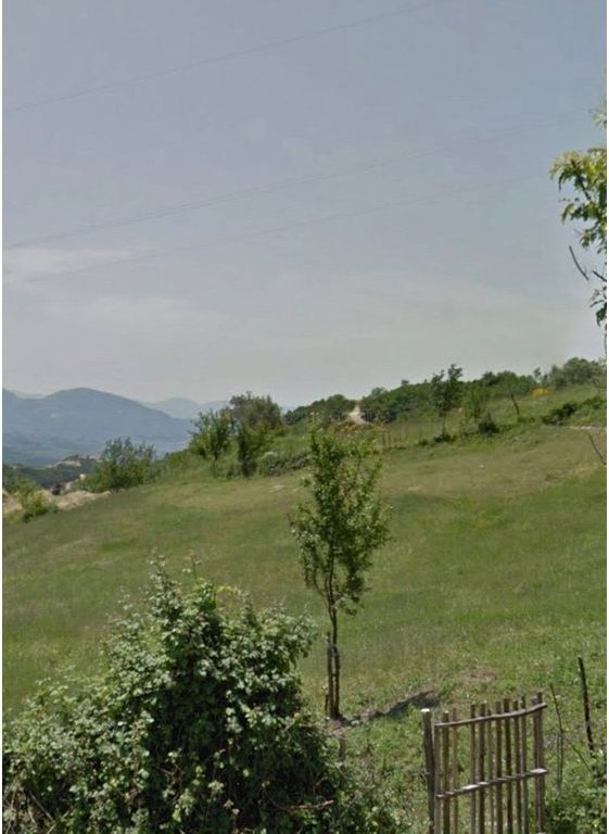 SHESIM TOKE NE SURREL