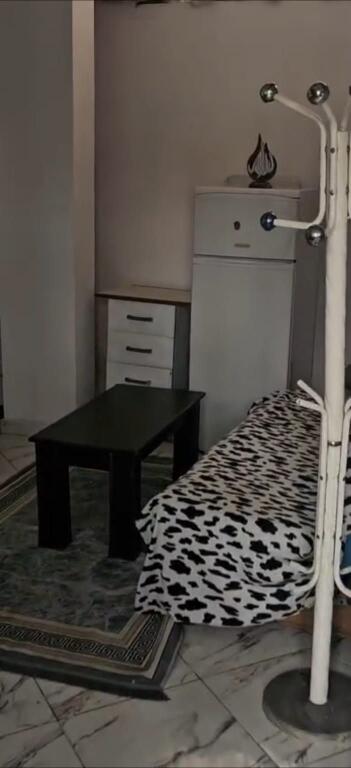 APARTMENT 1+1. 28000 LEKE. JORDAN MISJA STREET