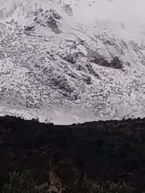 Jepet me qera 2+2 te treni mobiluar ashensor 599 eu