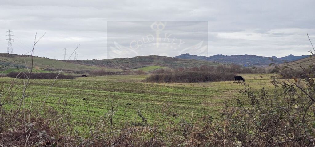 🏡 SHITET TOKË NË GJEPALAJ – ZONË SHUMË E MIRË 🌿