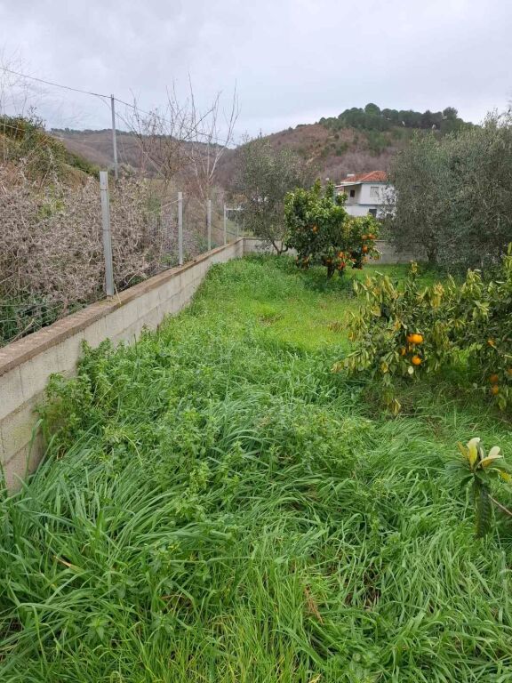 Land with house for sale in Divjakë