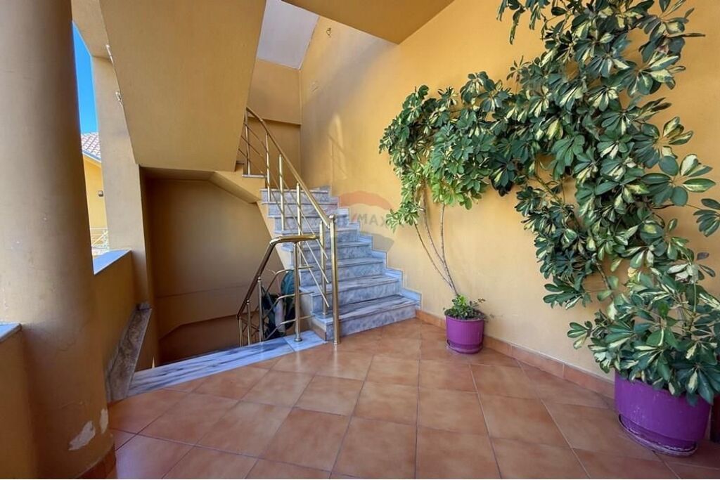 Vile 3 katshe ne shitje prane Siri Kodres!