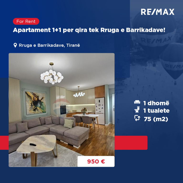 Apartament 1+1 per qira tek Rruga e Barrikadave!