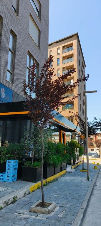 Apartamet ne shitje tipologjise 4+1+3+2