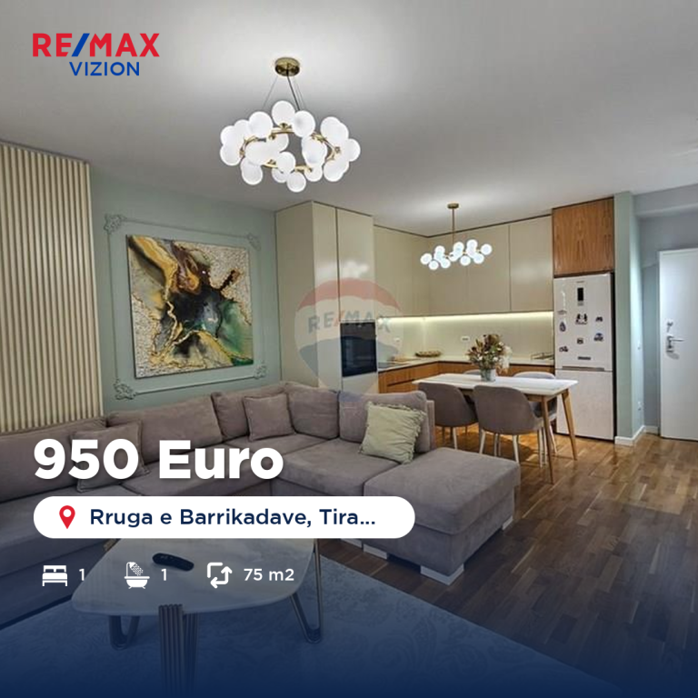 Apartament 1+1 per qira tek Rruga e Barrikadave!