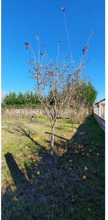 Toke për Shitje pranë Aeroportit Ndërkombëtar të Tiranës