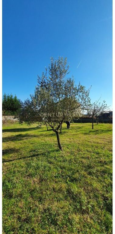 Toke për Shitje pranë Aeroportit Ndërkombëtar të Tiranës