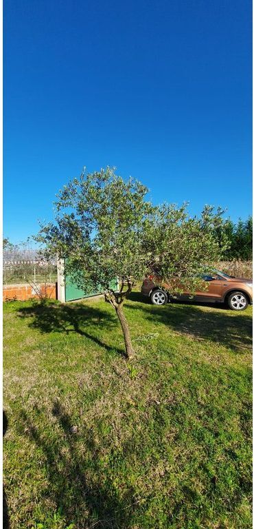 Toke për Shitje pranë Aeroportit Ndërkombëtar të Tiranës