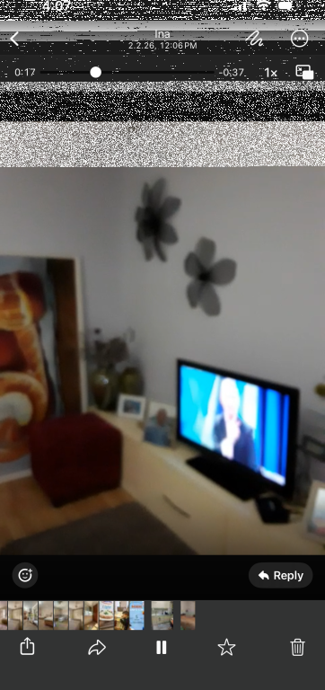 Apartment 1+1, Porcelain!