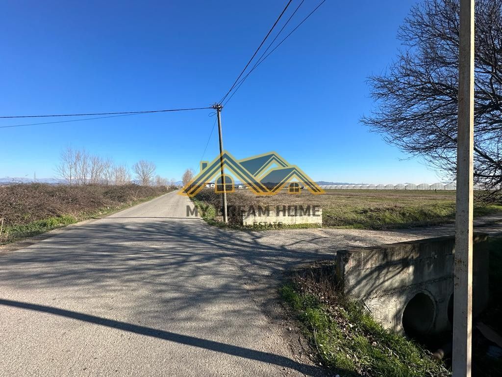 SHITET TOKE NE ZONE INDUSTRIALE NE FLLAKE!!