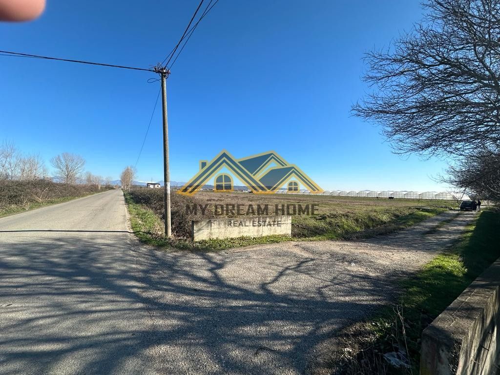 SHITET TOKE NE ZONE INDUSTRIALE NE FLLAKE!!