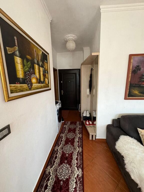 Apartment 1+1 for rent at Dry Lake/600 euros