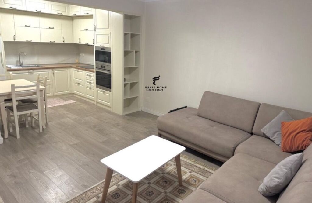 APARTMENT FOR RENT 1+1 SELITE 40,000 LEKE