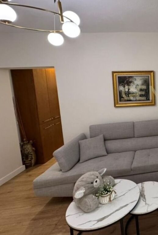 ✨ In Affitto – 2 Appartamenti