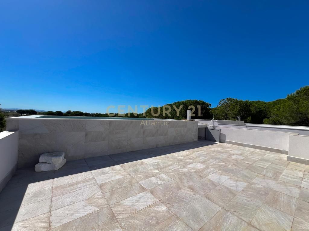 SHITET VILE NE GJIRI TE LALZIT