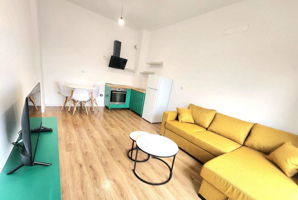 APPARTAMENTO IN AFFITTO 1+1 ALI DEMI 40.000 LEKE