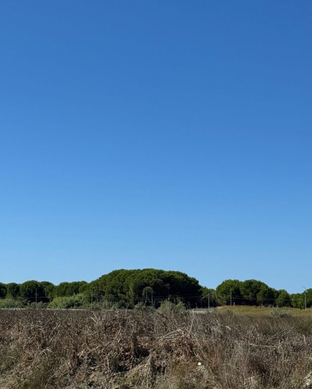 💥 OKAZION , Shitet toke ne brezin e dyte,Spille 💥