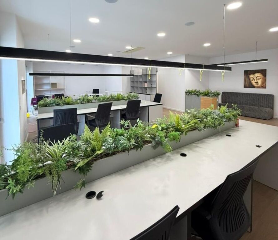 🏢 JEPET ME QIRA AMBIENT ZYRASH – DELIJORGJI