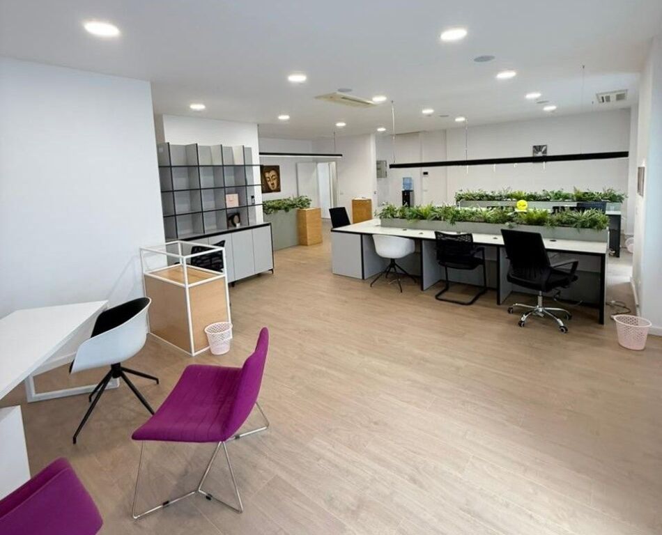 🏢 JEPET ME QIRA AMBIENT ZYRASH – DELIJORGJI