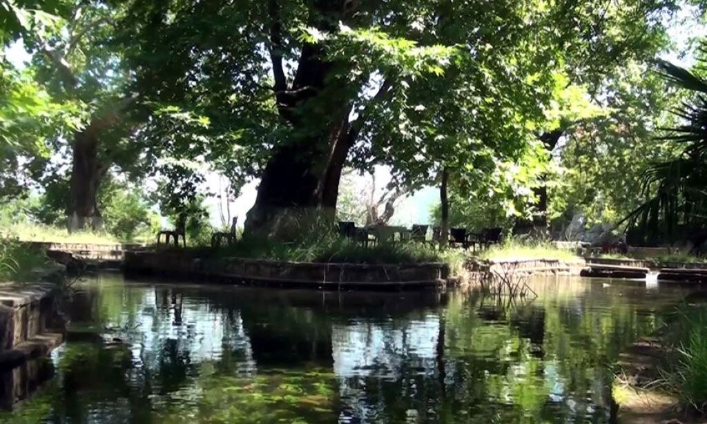 Shitet Toke Truall në Elbasan