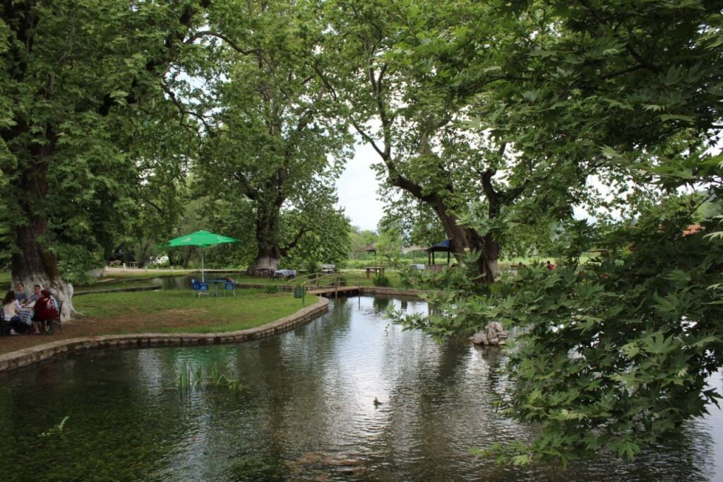 Shitet Toke Truall në Elbasan