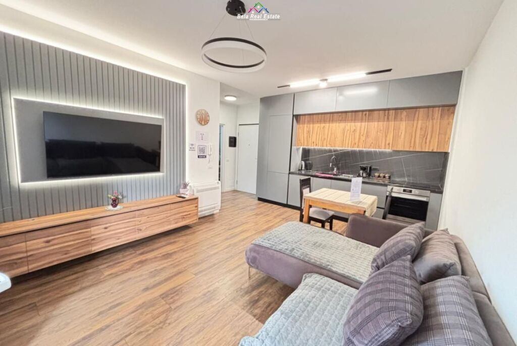 Appartamento in Affitto 1+1 Vicino a Komuna E Parisit (ID B2101487) Tirana