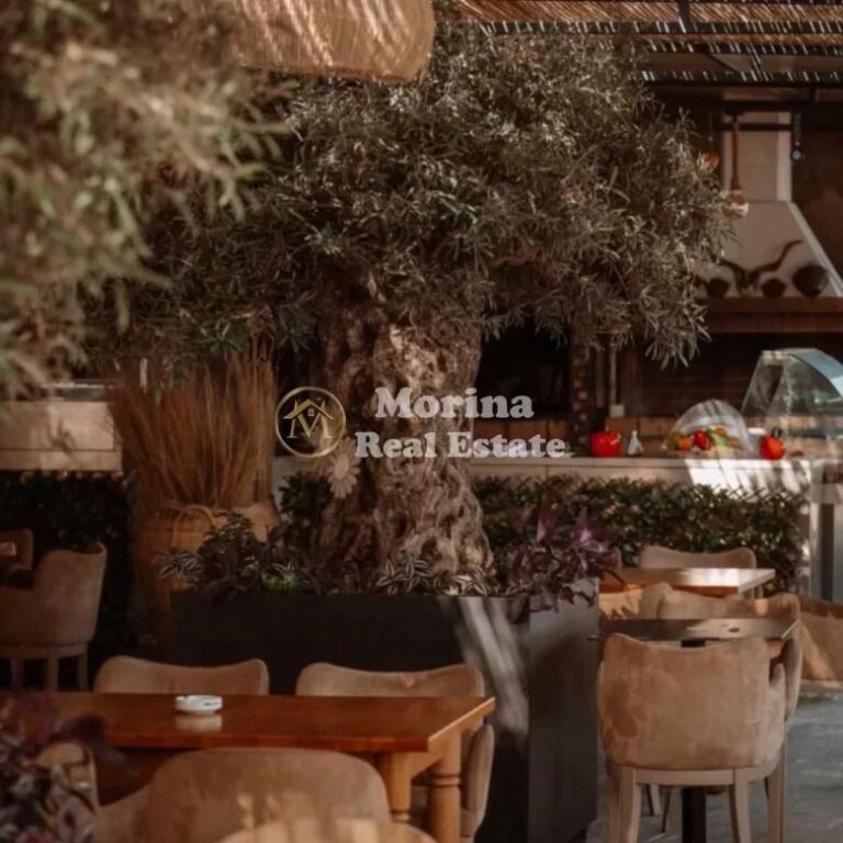 Qera | Ambjent Biznesi | Himarë, Qeparo | 50,000 Euro /Sezon (5 Muaj)