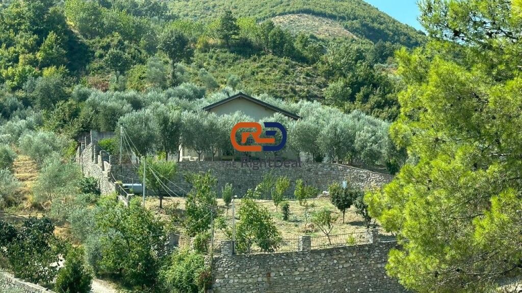 Ne Petrele, Jepet Vile Me Qira Me Pamje Fantastike!