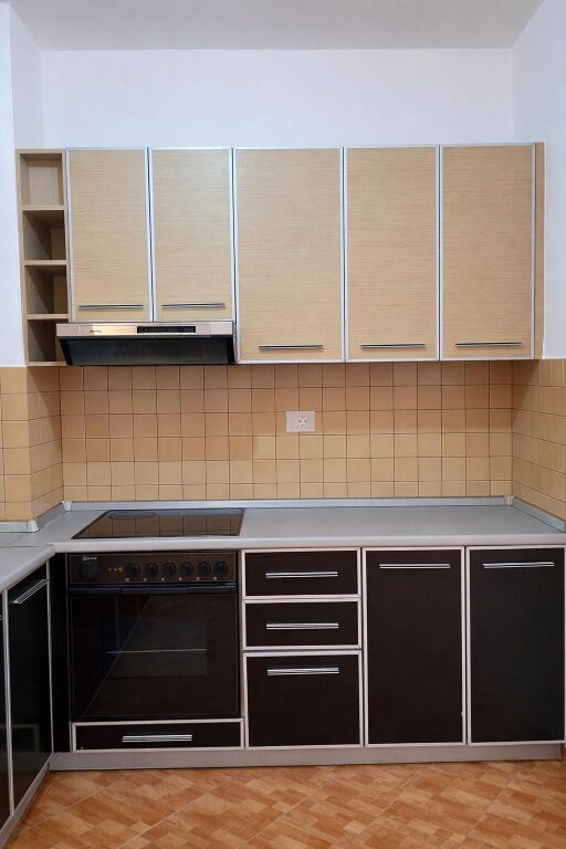 1+1 apartment for rent