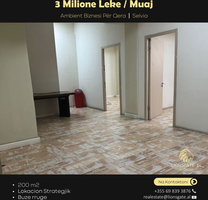 Ambient Biznesi me qera