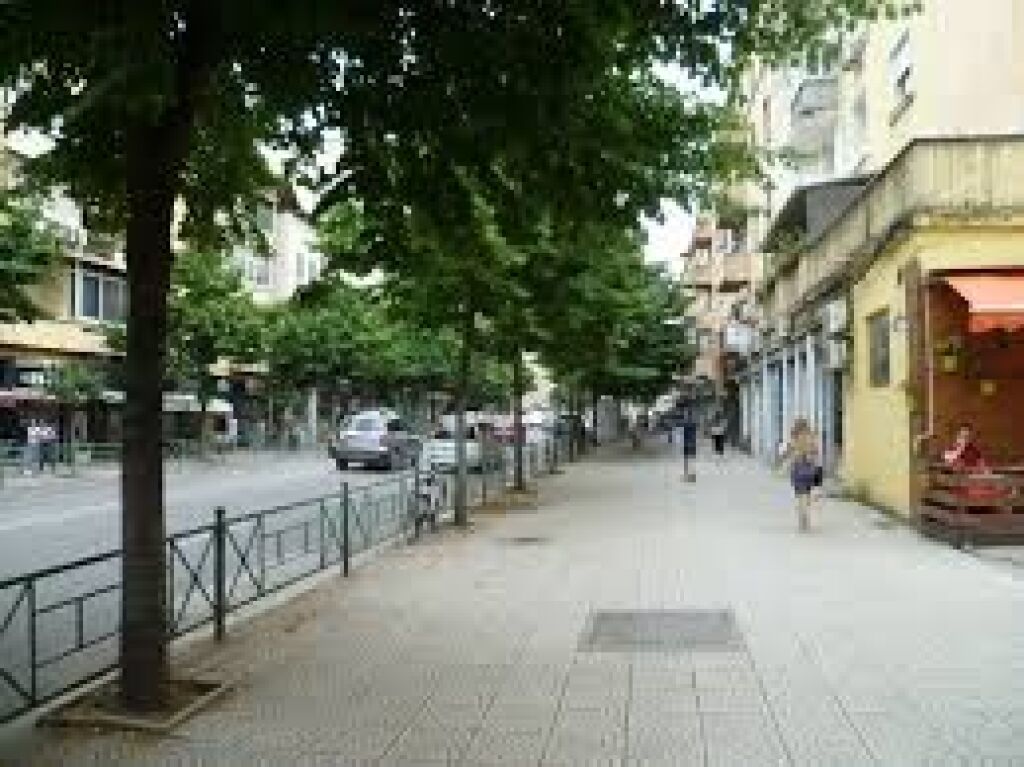 Rent, Apartment 1+1, Durrës Street, TIRANA