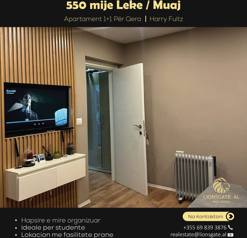 Apartment 1+1 for rent