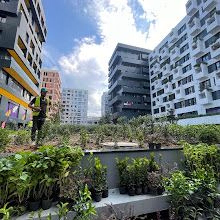 Ambjent palestre per qira tek Kika 2 !