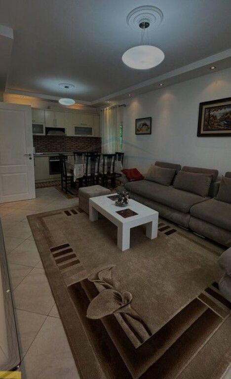 Qera, Apartament 2+1, Rruga e Elbasanit