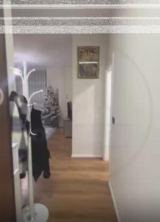 Appartamento 1+1 in affitto  