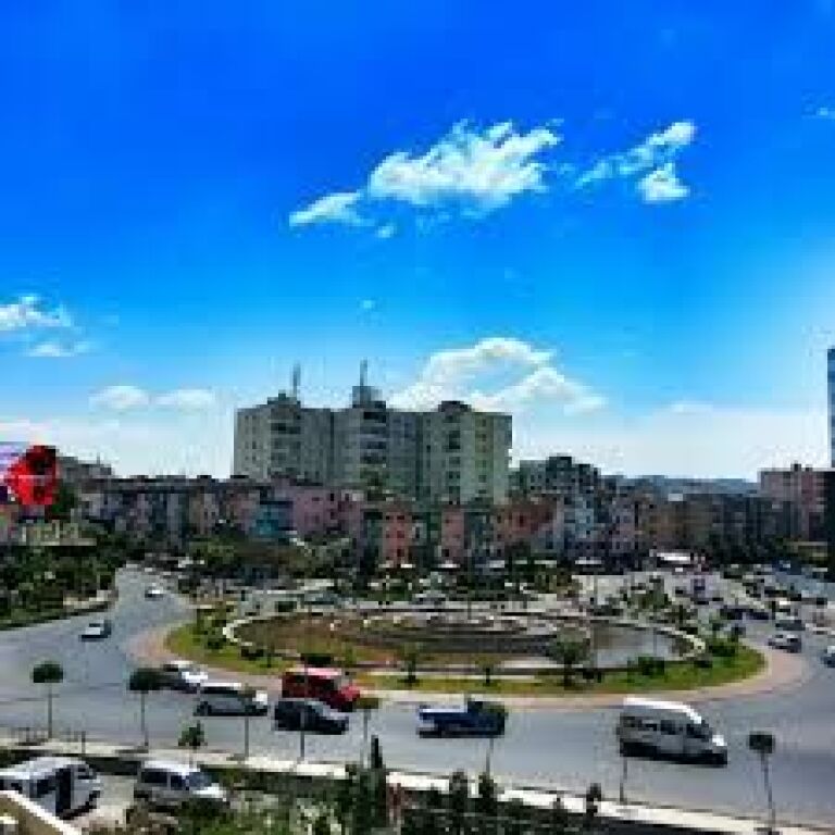 Zogu I Zi , jap ap me qira 550eu