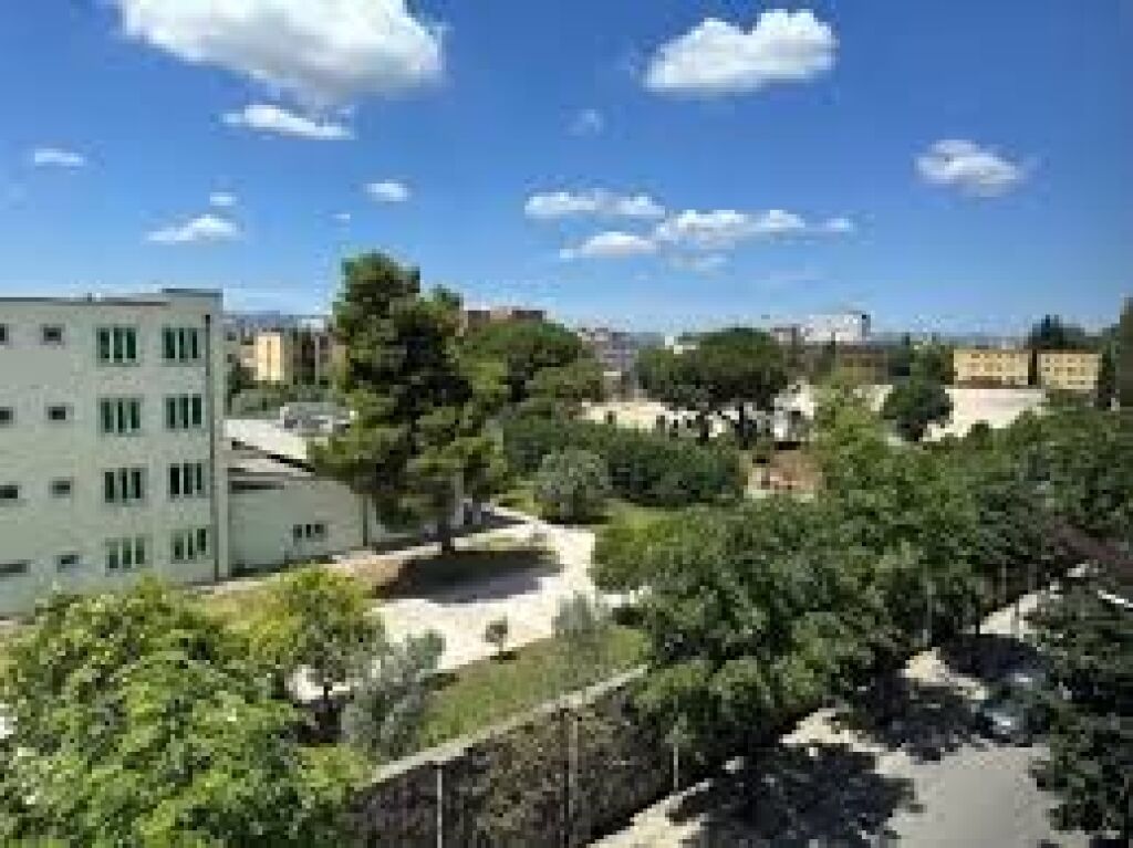 Ambient komercial per qira, Oxhak