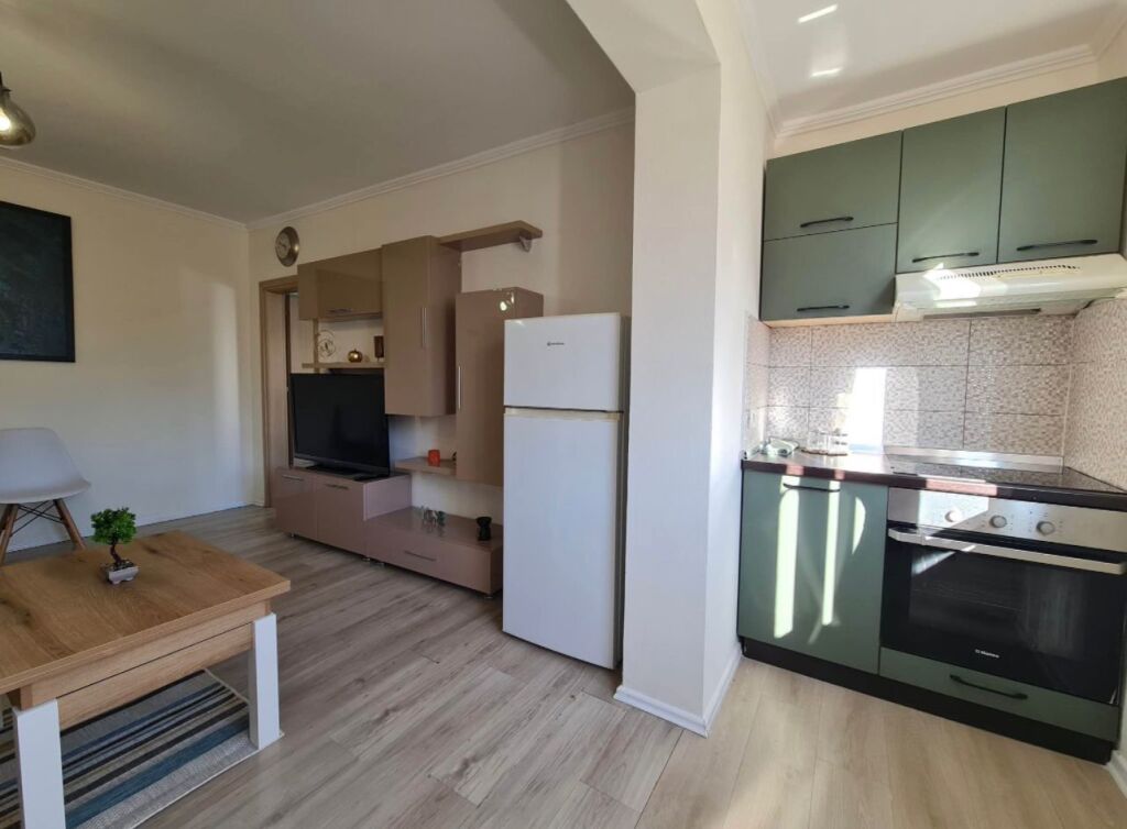 APARTAMENT NE SHITJE 1+1 TE ALI DEMI