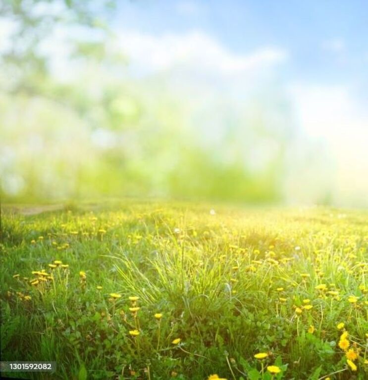Shitet, Tokë, Autostrada Tiranë-Durrës